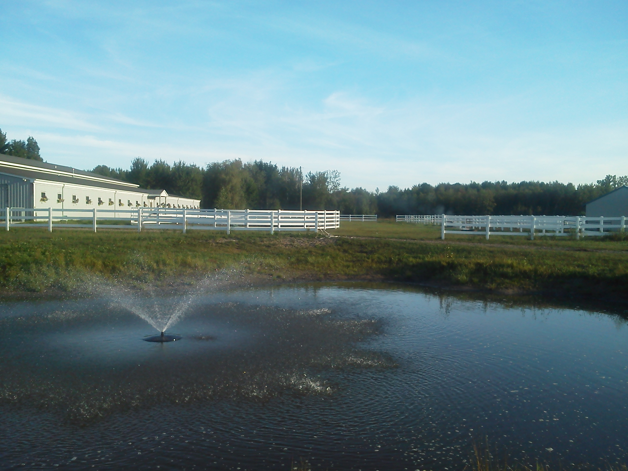 pondandfountain.jpg